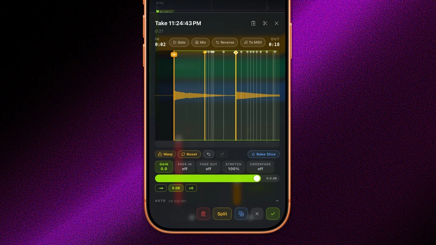 Clip editor, transient markers across a waveform, warp / gain / stretch / fade / bake slice controls underneath.