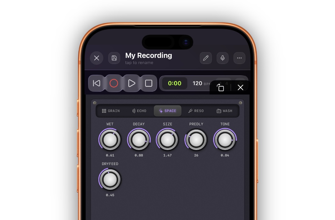 SPACE tab — WET, DECAY, SIZE, PREDLY, TONE, DRYFEED knobs